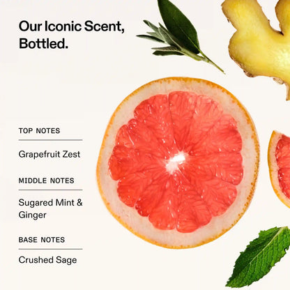 Nº.5 BOND MAINTENANCE™ STRENGTHENING CONDITIONER LITER