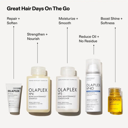 THE HEALTHY HAIR TRAVEL SET
